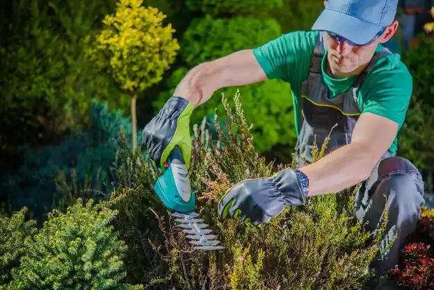 landscaping services Greenwood